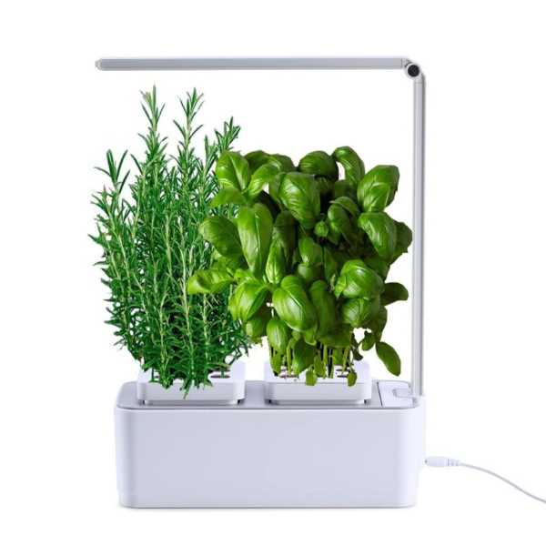 Smart Garden amzWOW